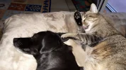 20190118_140537.webp
