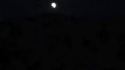upload_2019-1-18_20-27-34.webp