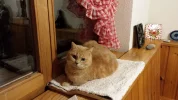 20190116_185405.webp