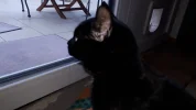 20190119_120822.webp