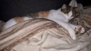 20190119_120525.webp