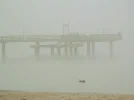 P1200097 (2).webp