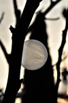 DSC_8413.webp