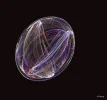 FABERGE 190119_19c.webp