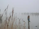 P1200133 (2).webp