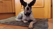 20190121_164009.webp