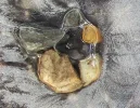 IMG_1956 (3).webp