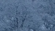 20190128_073652.webp