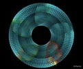 FABERGE 310119_1c.webp