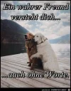 FB_IMG_1548992192710.webp