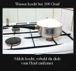 4 Milch.webp