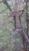 20190203_161632.webp