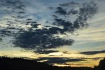 DSC_0035.webp