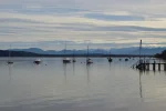 DSC_0017.webp