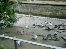 P1130026 (2).webp