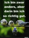 4 ich bin anders.webp