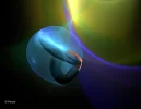 FABERGE 060219_5c.webp