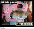 FB_IMG_1549456248222.webp