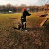 IMG_20190207_182408_259-900x900.webp