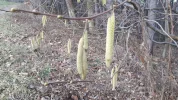 20190209_153559.webp