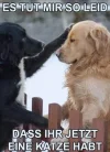 megalol_66769.webp