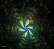 FABERGE 120219_8c.webp