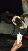 IMG-20180113-WA0005.webp