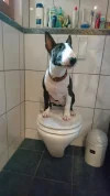 IMG-20180313-WA0002.webp