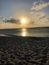 IMG-20190130-WA0001.webp