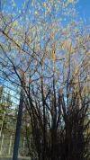 20190213_154341.webp