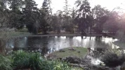 20190213_162040.webp
