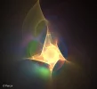 FABERGE 120219_20c.webp