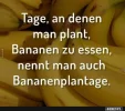 4 bananen.webp