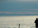 Wolk.webp
