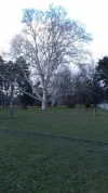 20190214_161314.webp