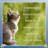 FB_IMG_1550054680433.webp