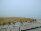 P1200103 (2).webp