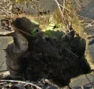 IMG_2084 (4).webp