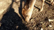 20190217_111208-3456x1944.webp