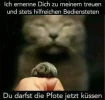 FB_IMG_1550413329494.webp