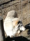 IMG-20190217-WA0058.webp