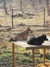 IMG-20190219-WA0012.webp