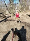 IMG-20190217-WA0071.webp