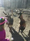 IMG-20190217-WA0108.webp