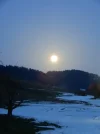 004.webp