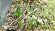DSCF4005 (2).webp