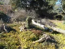 DSCN2258.webp