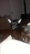 20190116_185503.webp