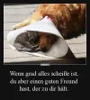 FB_IMG_1550851436175.webp