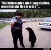 4 Eisbar polizei.webp